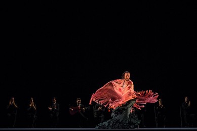 Image 222290260