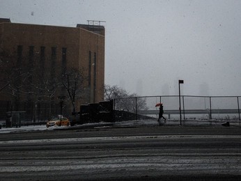 Image 223520113