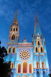 Image 225144312