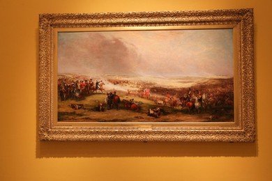 Image 225737794