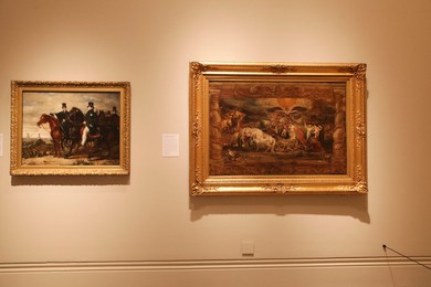 Image 225737809