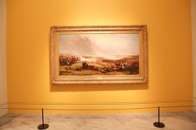 Image 225841653