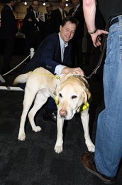 Image 226850112