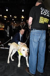 Image 226850131