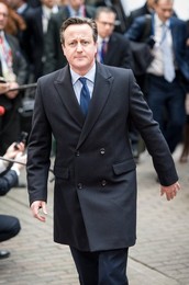Image 229162691