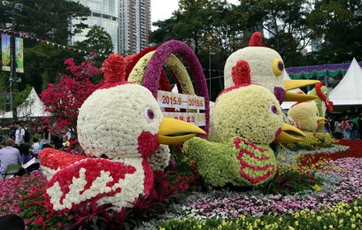 Image 229631054
