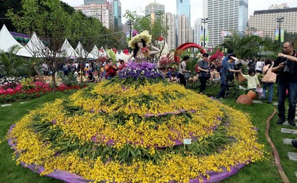 Image 229631074