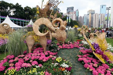 Image 229631225