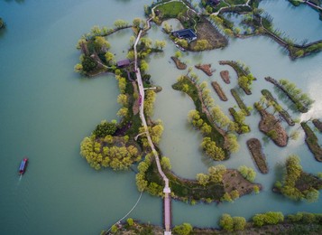 Image 231499212