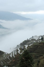 Image 233062959