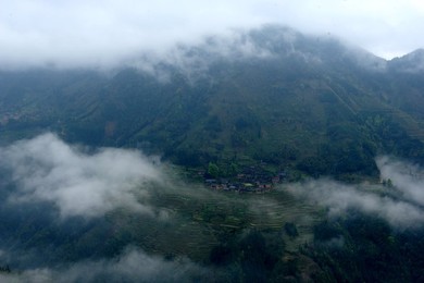 Image 233063161