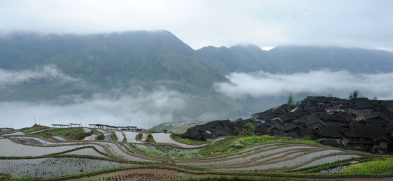 Image 233063189