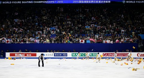 Image 233630701