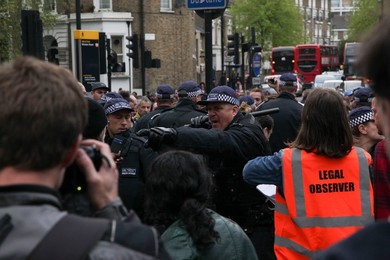 Image 240077951
