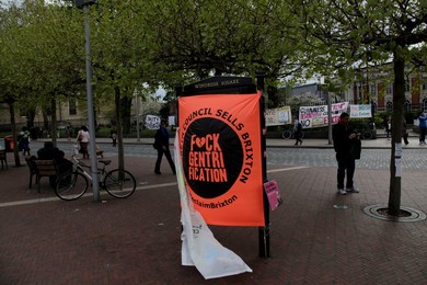 Image 240078291