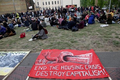 Image 240078296