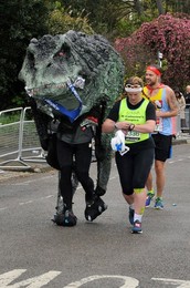 Image 240227452