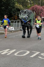 Image 240227454