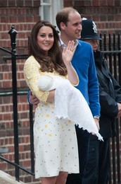 Image 241482222