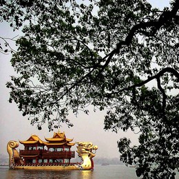 Image 242252497