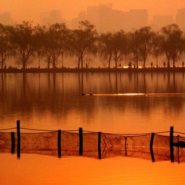 Image 242252524