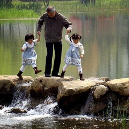 Image 242252567