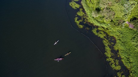 Image 244329166