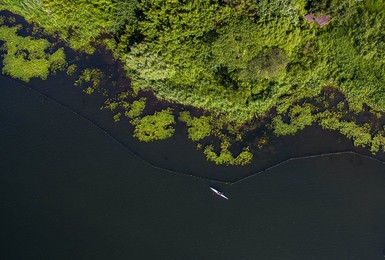 Image 244329173