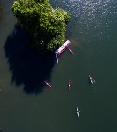 Image 244329181