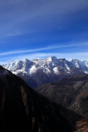 Image 244428721