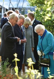 Image 245664072