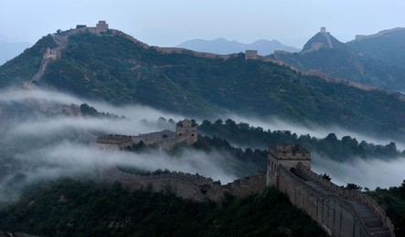Image 246284470