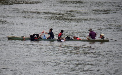Image 246487542