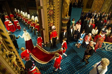 Image 246581425