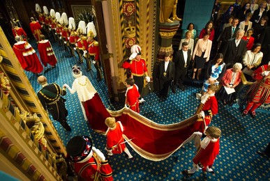 Image 246581426