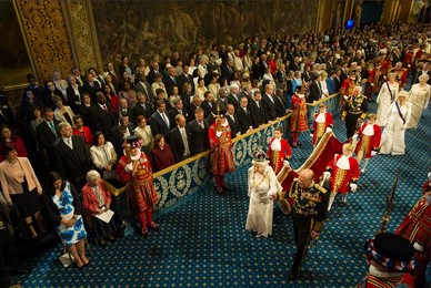 Image 246581441
