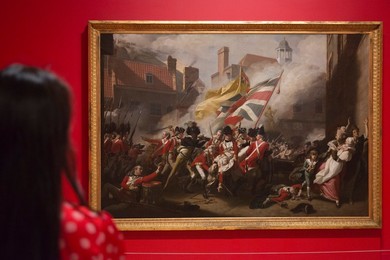 Image 248203919