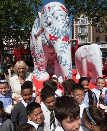Image 249115914