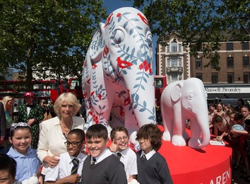 Image 249115920