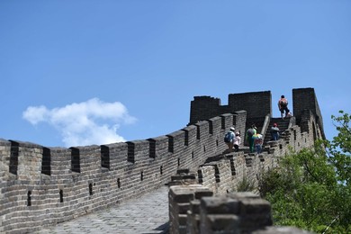 Image 249596701