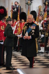 Image 250272878