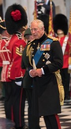 Image 250272881