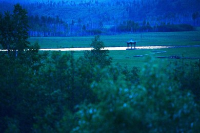Image 250277844