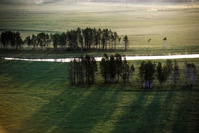 Image 250277871