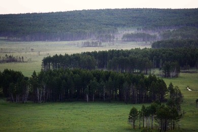 Image 250277886
