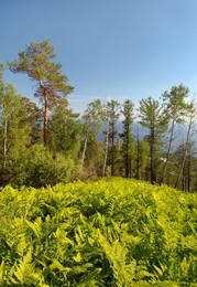 Landscape, settlement Listvyanka, Lake B..........