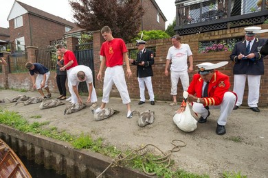 Image 253535283