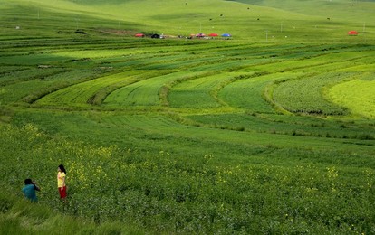 Image 253535345
