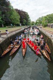 Image 253544785