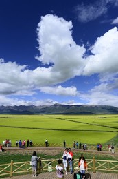 Image 253693464